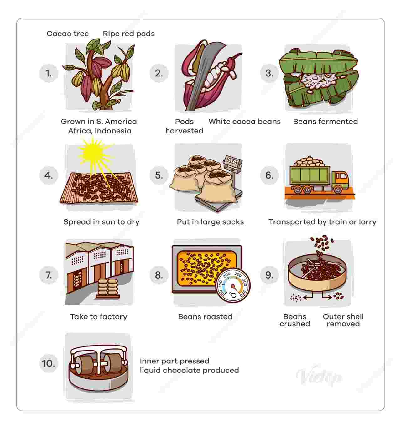 Cocoa Beans to Chocolate Process Diagram
