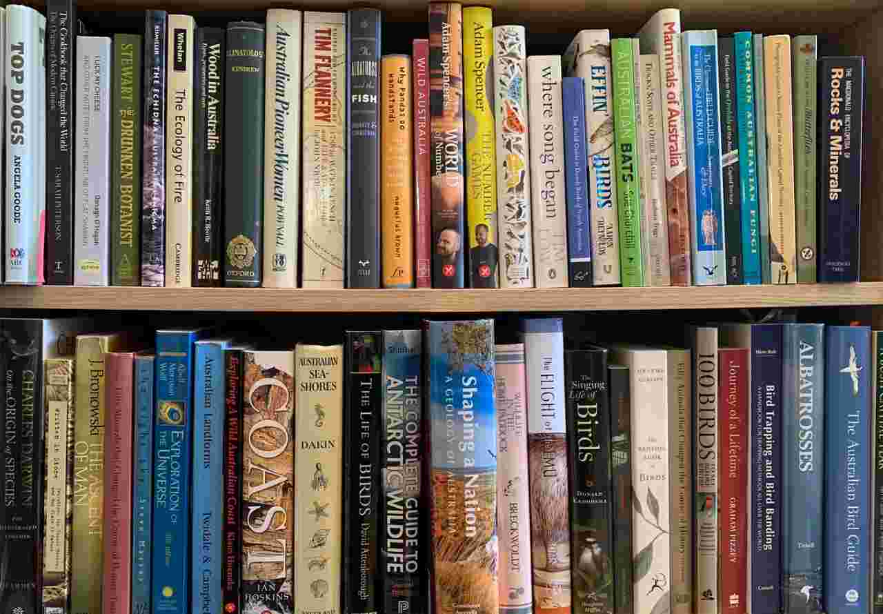 Describe Something You Can’t Live Without