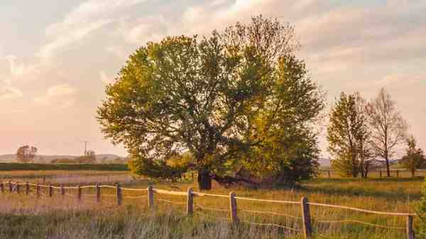 Describe a place you visited and enjoyed in the countryside